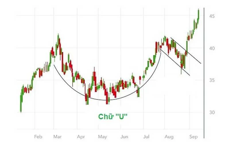 Thành phần cấu tạo của mô hình cup and handle