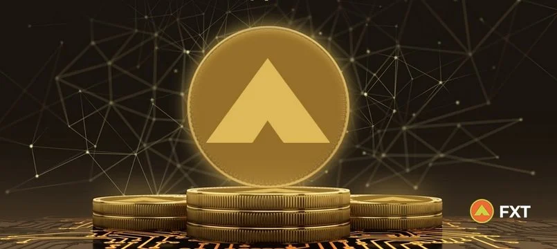 FXT token là gì? Đánh giá tổng quan về FXT