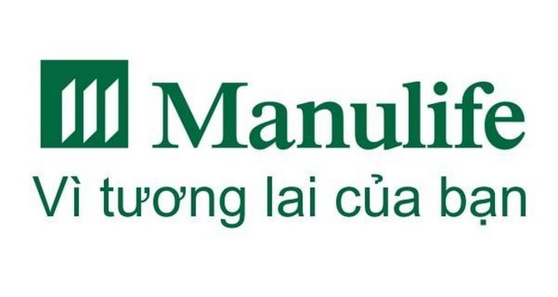 Thông tin đaily manulife?