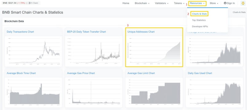 Cách tìm số lượng địa chỉ riêng biệt trên BNB Smart Chain trên BscScan